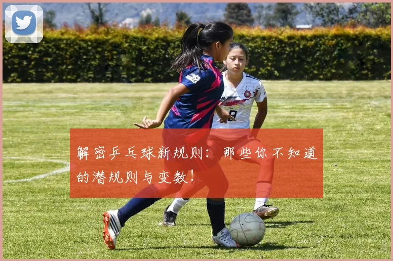 解密乒乓球新规则：那些你不知道的潜规则与变数！