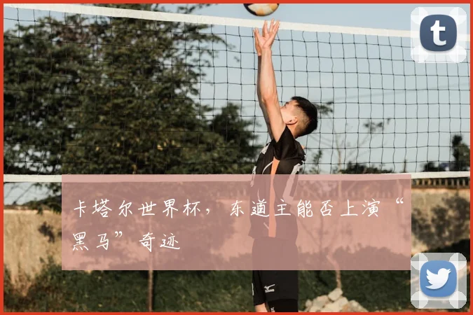 卡塔尔世界杯，东道主能否上演“黑马”奇迹